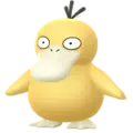 Psyduck
                      
                       Image