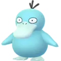 Psyduck
                      
                       Shiny Image