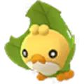 Sewaddle
                 Image