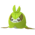 Swadloon
                      
                       Shiny Image