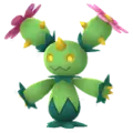 Maractus
                      
                       Image