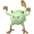 Menki (Mankey)
                      
                       Shiny Image