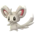 Picochilla (Minccino)
                      
                       Image