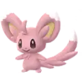 Minccino
                      
                       Shiny Image