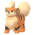 Growlithe
                 Image