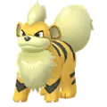 Fukano (Growlithe)
                      
                       Shiny Image