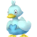 Ducklett
                 Image