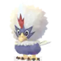 Geronimatz (Rufflet)
                      
                       Image