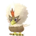 Rufflet
                      
                       Shiny Image