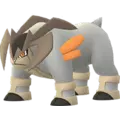 Terrakion
                      
                       Image