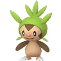 Chespin
                 Image