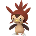 Chespin
                      
                       Shiny Image