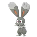 Bunnelby
                      
                       Shiny Image