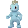 Machop
                 Image