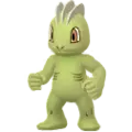 Machollo (Machop)
                      
                       Shiny Image