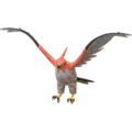 Fiaro (Talonflame)
                      
                       Image