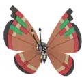 Vivillon
                       - Archipelago
                       Image