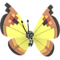 Vivillon
                       - Continental
                       Image