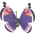 Vivillon
                       - Prunk
                       Image