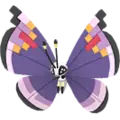 Vivillon
                       - Prunk
                       Shiny Image