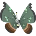 Vivillon
                       - Dschungel
                       Shiny Image