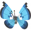 Vivillon
                       - Marine
                       Image