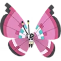 Vivillon
                       - Blumenmeer
                       Shiny Image