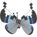 Vivillon
                       - Monsun
                       Image