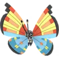 Vivillon
                       - Ozean
                       Image