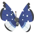 Vivillon
                       - Polar
                       Image