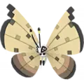 Vivillon
                       - Sandstorm
                       Shiny Image