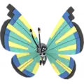 Vivillon
                       - Savanna
                       Image