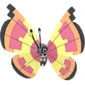 Vivillon
                       - Sunny
                       Image