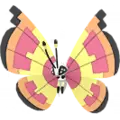 Vivillon
                       - Sonne
                       Shiny Image