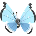 Vivillon
                       - Tundra
                       Image