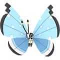 Vivillon
                       - Tundra
                       Shiny Image