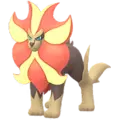 Pyroar
                      
                       Image