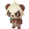 Pancham
                      
                       Shiny Image