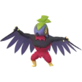 Hawlucha
                      
                       Shiny Image