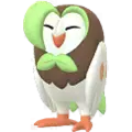 Dartrix
                 Image