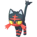 Litten
                 Image