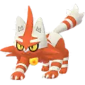 Torracat
                      
                       Shiny Image