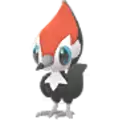 Pikipek
                      
                       Image