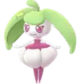 Steenee
                 Image