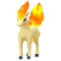 Ponita (Ponyta)
                      
                       Image