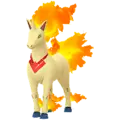 Rapidash
                      
                       - Spring 2023 Valor Image