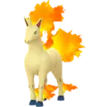 Rapidash
                 Image