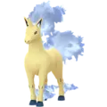 Rapidash
                      
                       Shiny Image