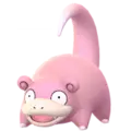 Slowpoke
                 Image