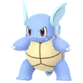 Wartortle
                 Image